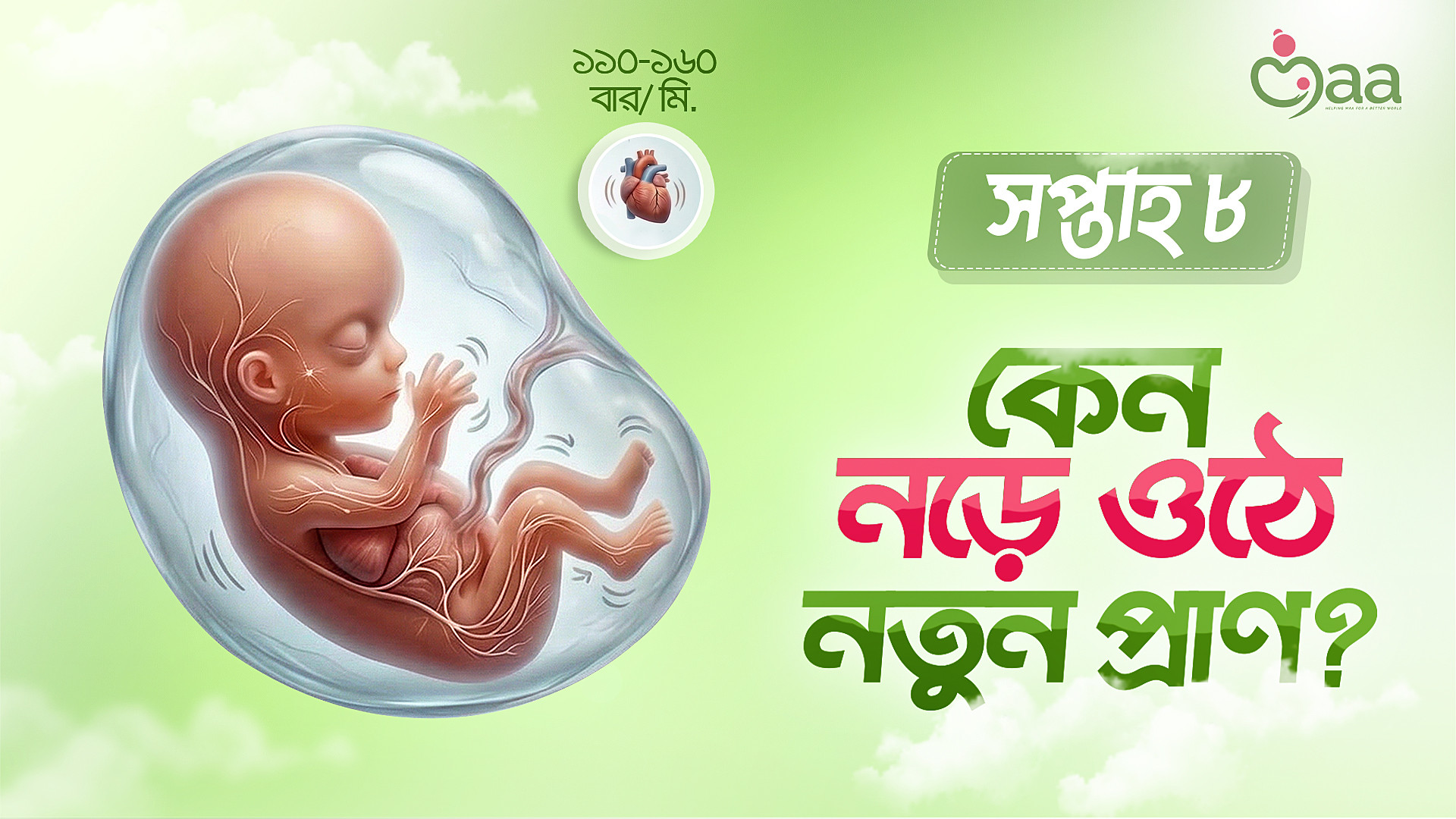 ৬-২৪ মাস বয়সে শিশুর পুষ্টি class